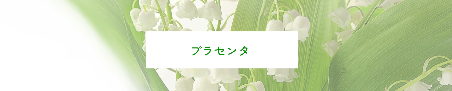 みき心と体のクリニック プラセンタトップ