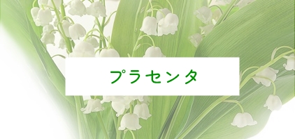 みき心と体のクリニック プラセンタトップ